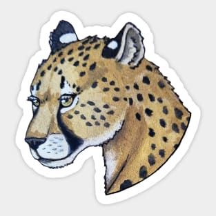 CHEETAH Sticker